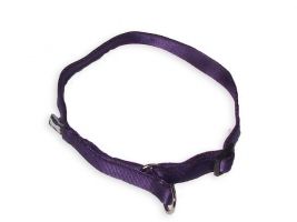 MesAmis Hundehalsband aubergine