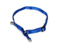 MesAmis Hundehalsband schwarz Gr. L