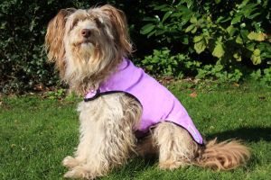 Cool Coat - Lila - Gr. M (Beardie-H�ndinnen)