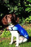 Cool Coat - Blau - Gr. L (Beardie-R�den)