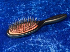 Naturhaarb�rste, nylonverst�rkt (klein)