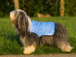 Cool Coat - Blau - Gr. M (Beardie-Hündinnen)
