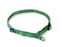 MesAmis Hundehalsband kiwi