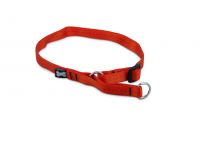 MesAmis Hundehalsband orange