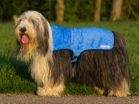 Cool Coat - Blau - Gr. L (Beardie-Rüden)