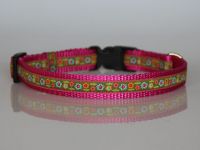 Halsband, pink-grün